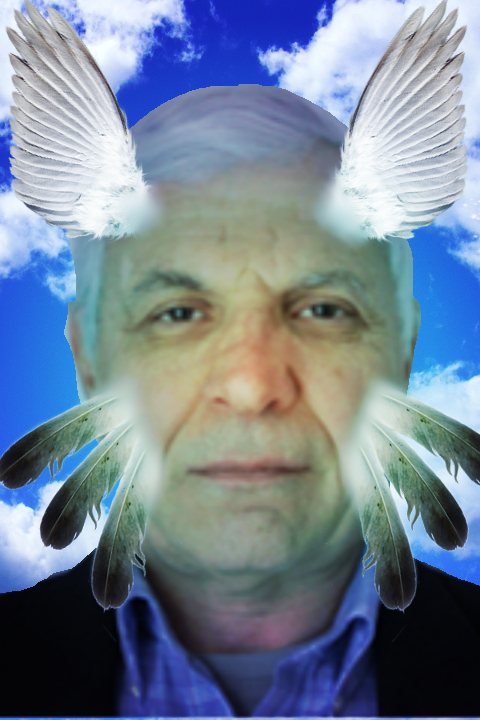 Picture of Peyravi