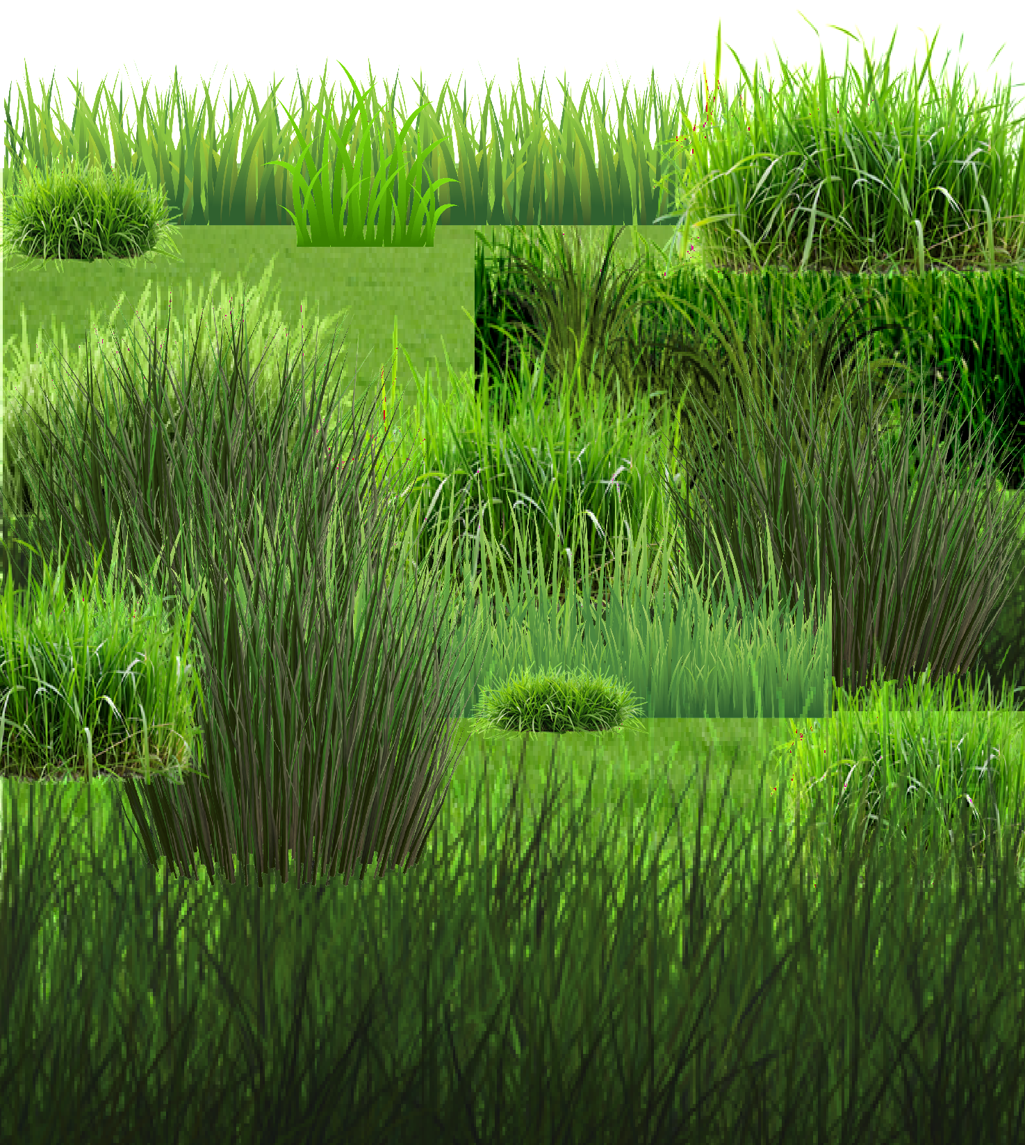 Picture of grass